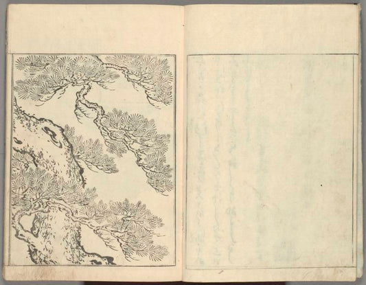 Ehon tokiwagusa = Eternal Flowers, A Picture Book.