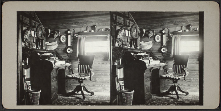 Roll-top desk with various mounted animals.