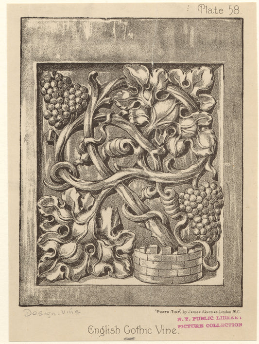 English Gothic vine