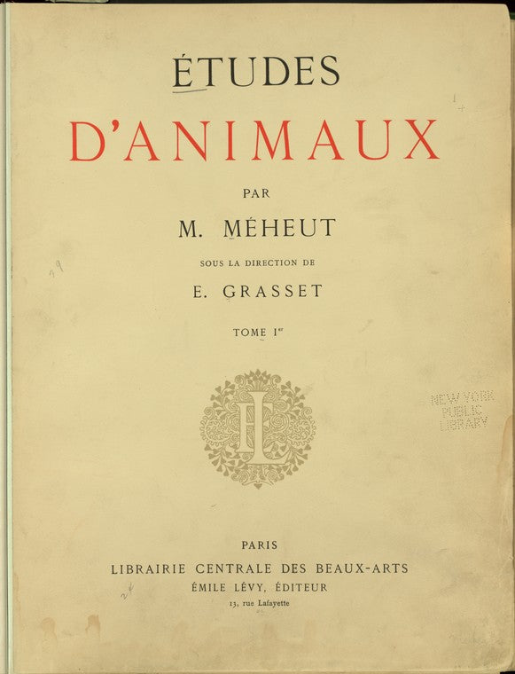 Études d'animaux