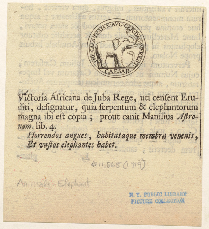 Coin with a design of an elephant and a snake