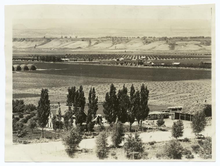 Panorama of section of Uncompahgre Project, Colo.