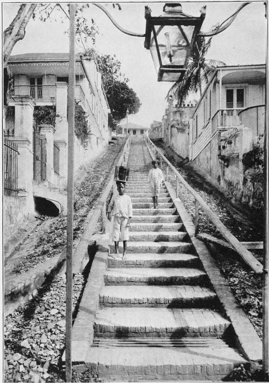 The four hills on which St. Thomas is built slope up from the harbour so steeply that flights of steps serve the purpose of streets, and wheeled vehicles can be used only along the waterfront.