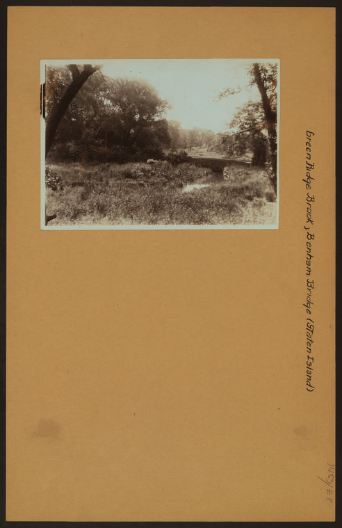 Green Ridge Brook - Benham Bridge - Staten Island [Richmond.]