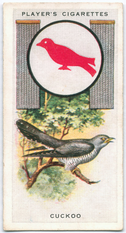 Cuckoo.