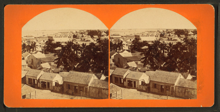 Bird's eye view of homes, Key West, Fla.