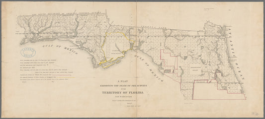 A plat exhibiting the state of the surveys in the territory of Florida