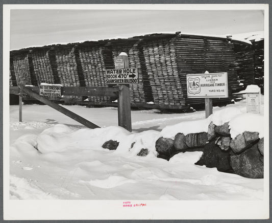 Hurricane lumber. Tewksbury, Massachusetts.