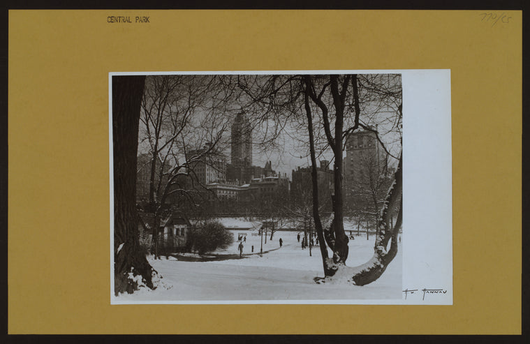 Manhattan: Central Park.