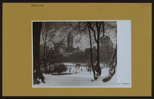 Manhattan: Central Park.