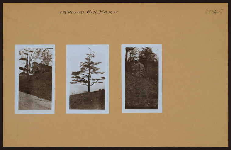 Manhattan: Inwood Hill Park.