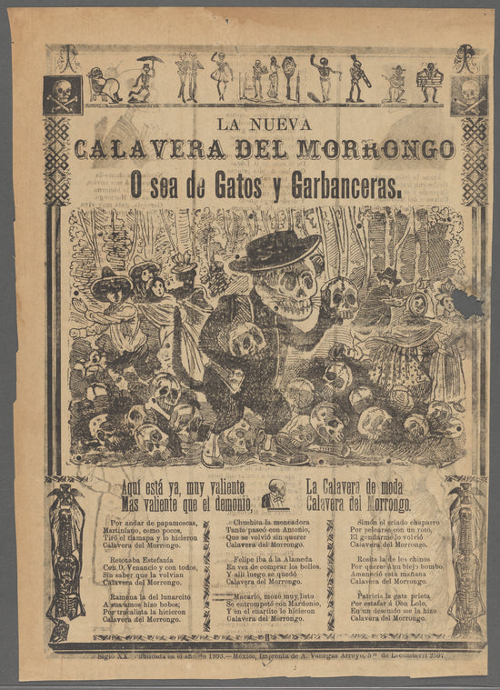 La Nueva Calavera del Morrongo o sea de Gatos y Garbanceras