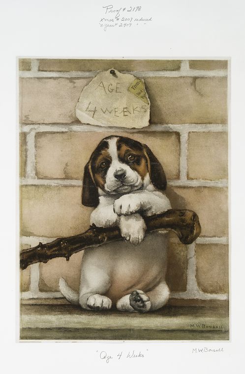 Age 4 Weeks [Christmas and New Year card depicting portrait of dog  with stick and brick wall].