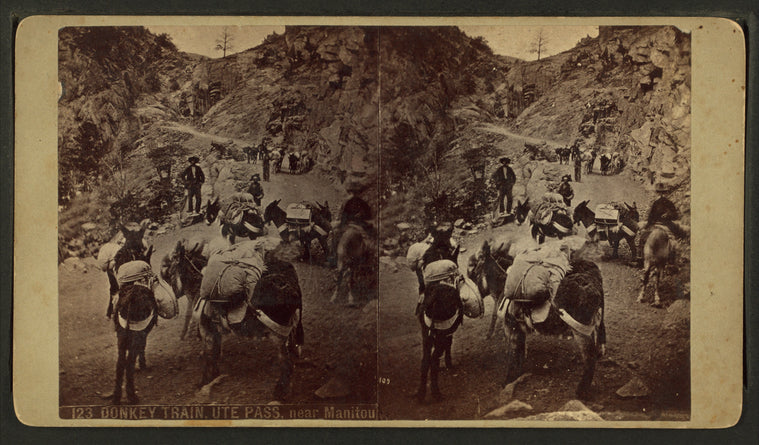 Donkey train, Ute Pass, near Manitou.