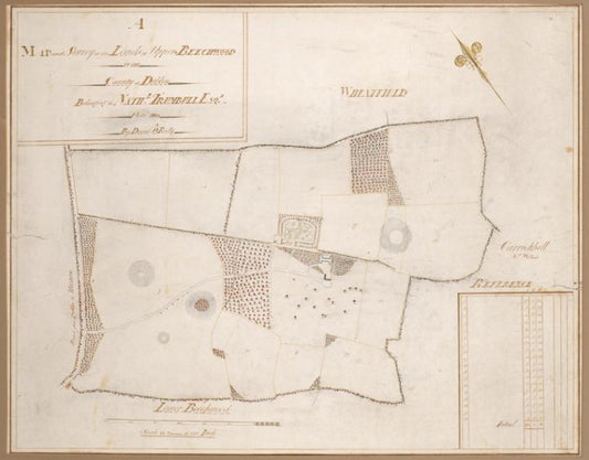 Map and survey of lands of upper Beechwood