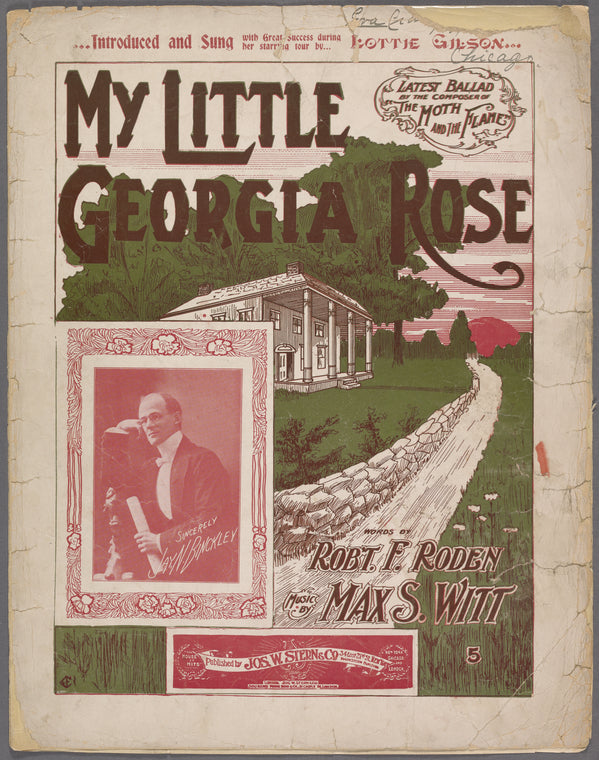 My little Georgia rose