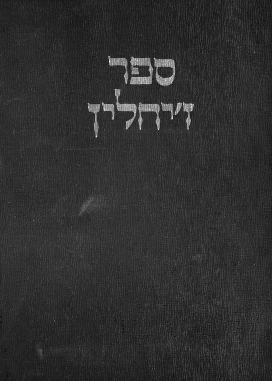 Zychlin: העורך, עמי שמיר