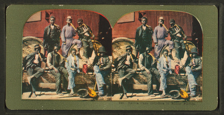 Native cane grinders in sunny Florida.