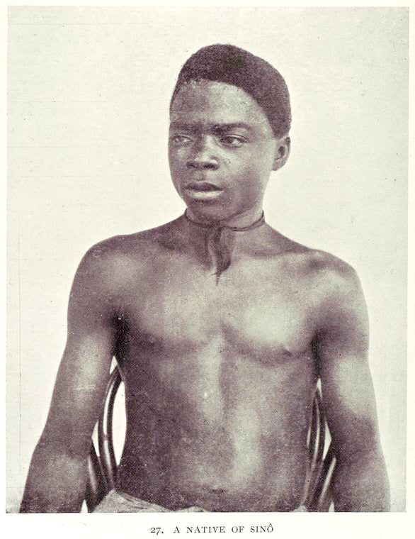 A native of Sinô