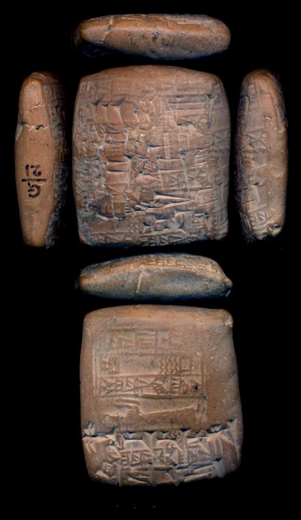 G-21
