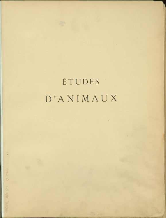 Études d'animaux