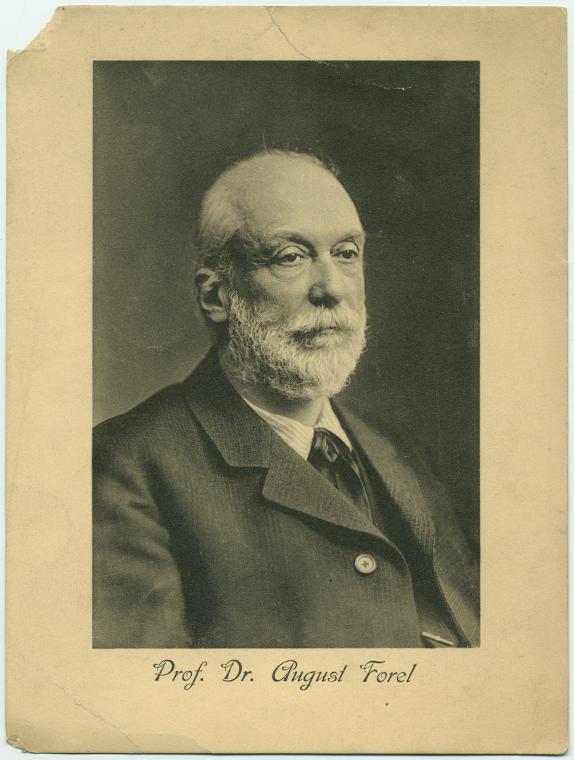 Prof. Dr. August Forel