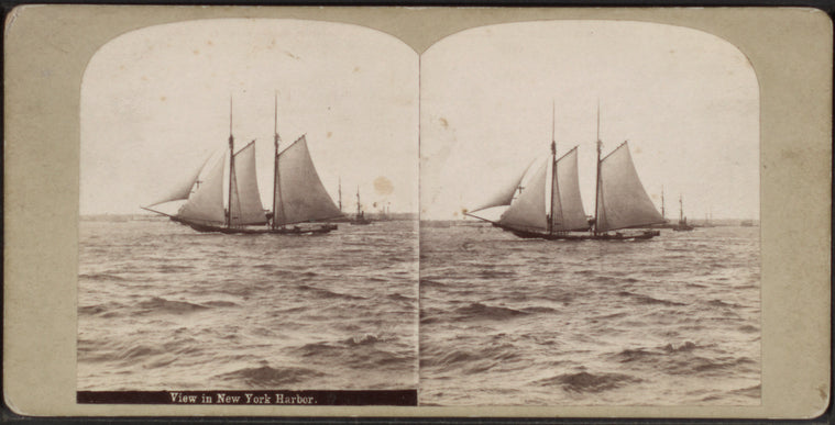 View in New York Harbor [view of a sailboat].