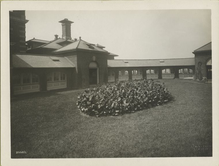 View of Ellis Island grounds with plantings; buildings to rear.
