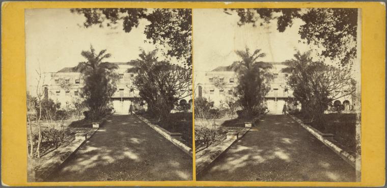Back of Government House