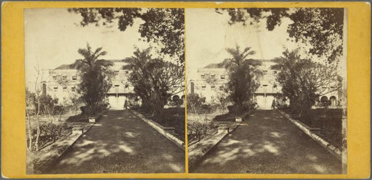 Back of Government House