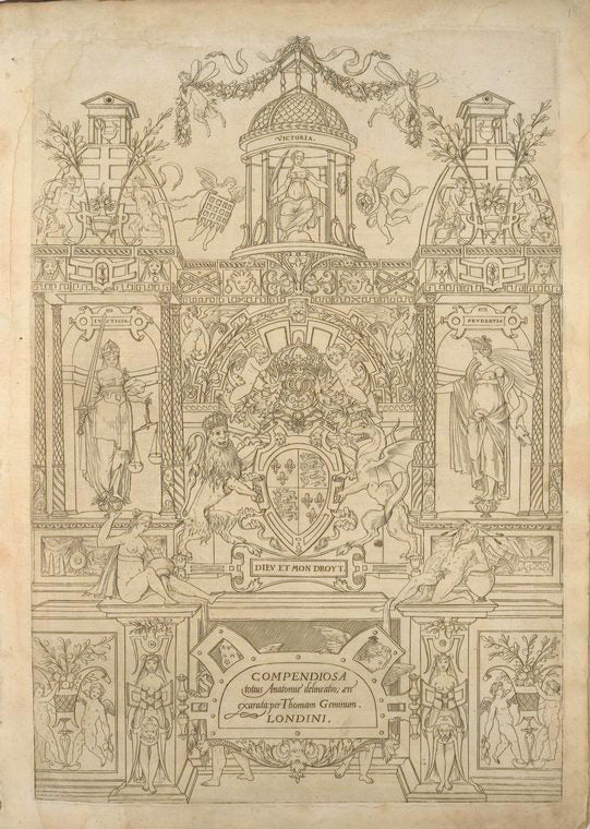 Compendiosa totius anatomie delineatio, ære exarata