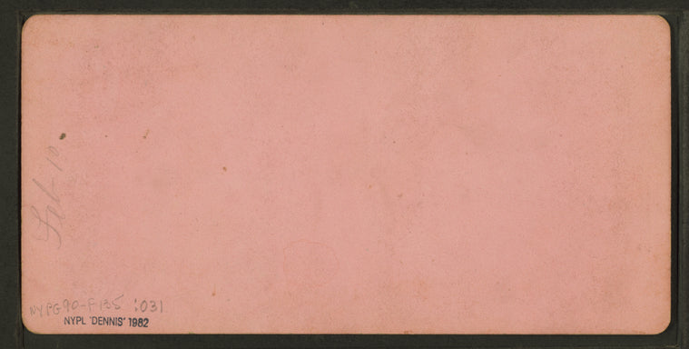 ["Marion" Steamer with passengers.]