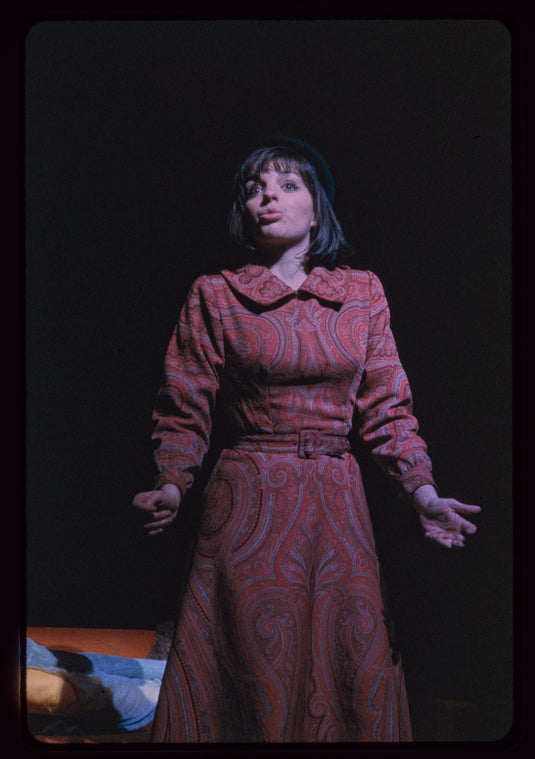 Flora, the Red Menace, original Broadway production