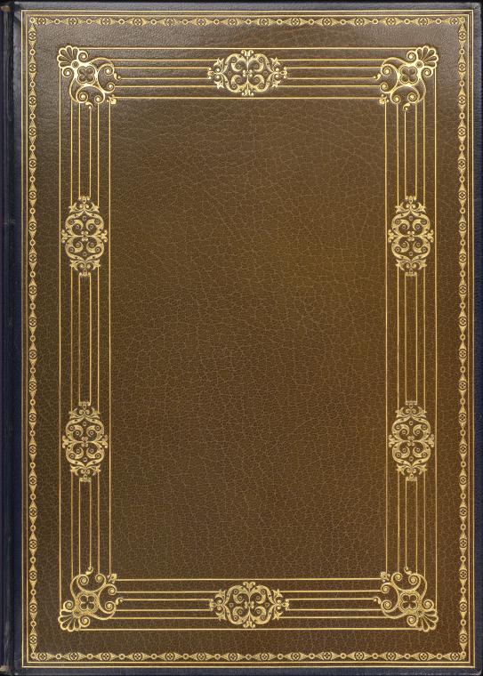 Madame Bovary