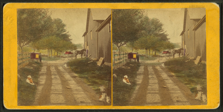 View of a farm yard scene showing dogs, cats, barn, buggy, wagon and man and boy.