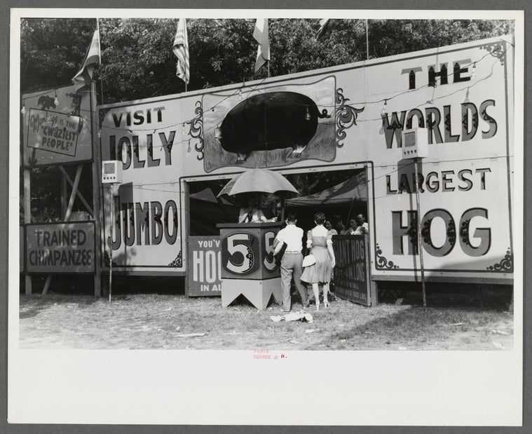 Midway and carnival, Shelby County Fair and Horse Show, Shelbyville, Kentucky