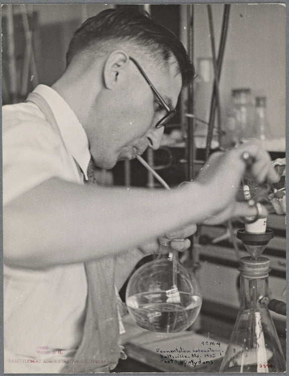 In the fermentation laboratory. Prince Georges County, Beltsville, Maryland.