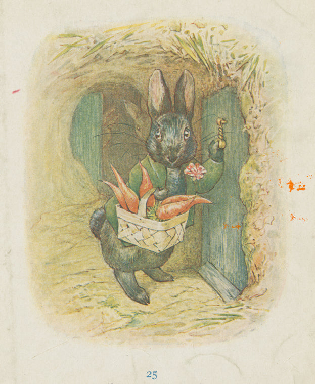 Little Black Rabbit.