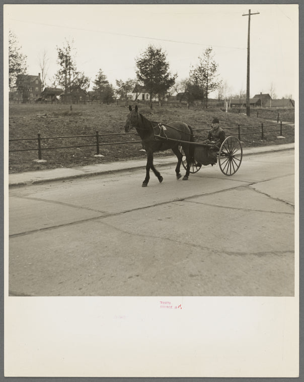 Man driving horse in home-adapted carriage. Crystal Falls, Michigan