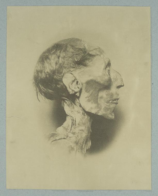 Profile of mummy's head