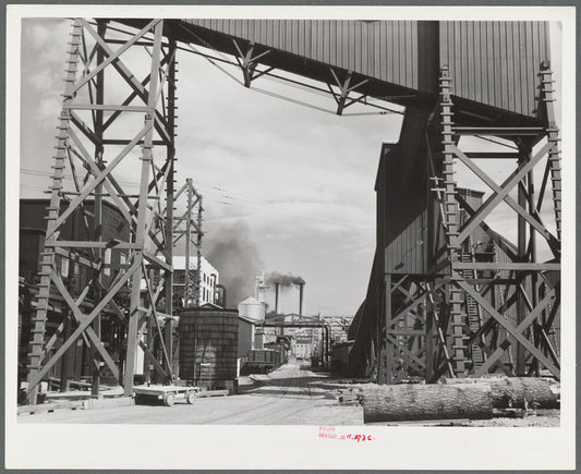 One of the largest sawmills in the world. Employs many of the Resettlement Administration homesteaders at Longview. Washington