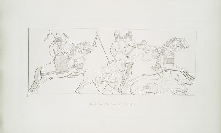 The king hunting the wild bull.