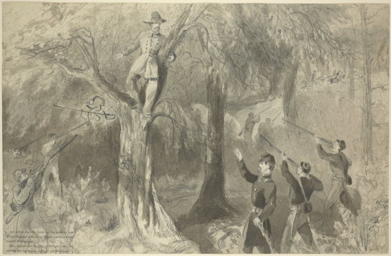 A rebel treed. Arrest of rebel officer Lt. H. J. Segal of the insurgent army near Falls Church by Lt. Col. Winslow and Capt. Shattuck of the N.Y. 37th regiment
