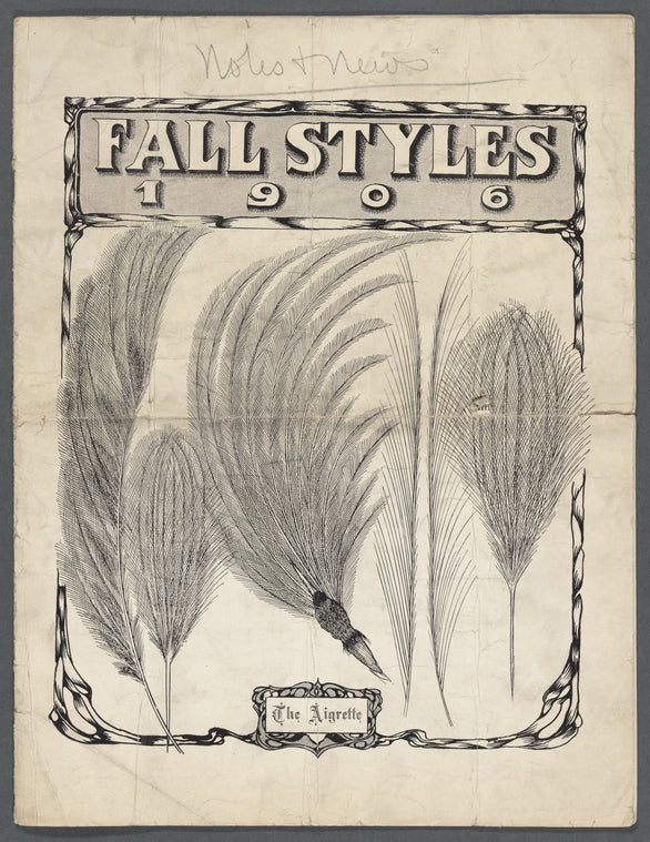 Fall Styles 1906: The Aigrette