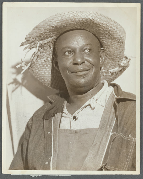 Doe Doe Green as Hiram the farmer