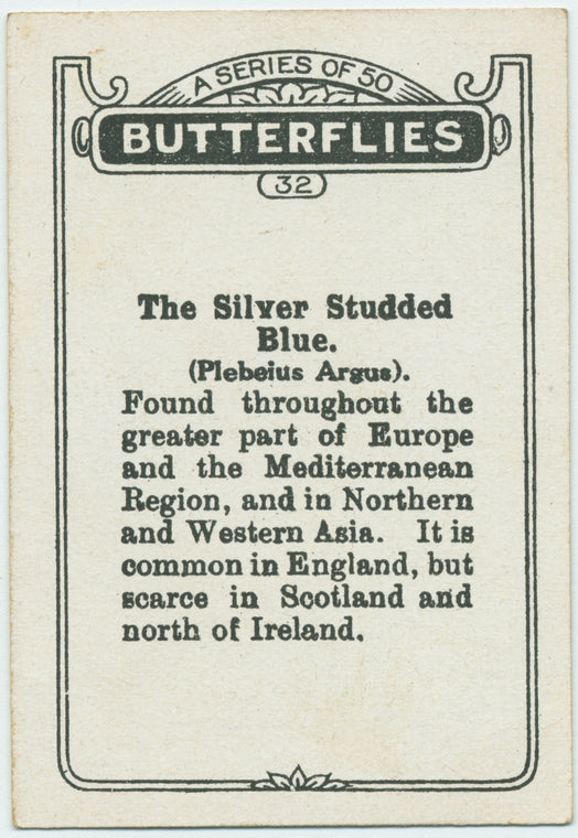 The silver studded blue.