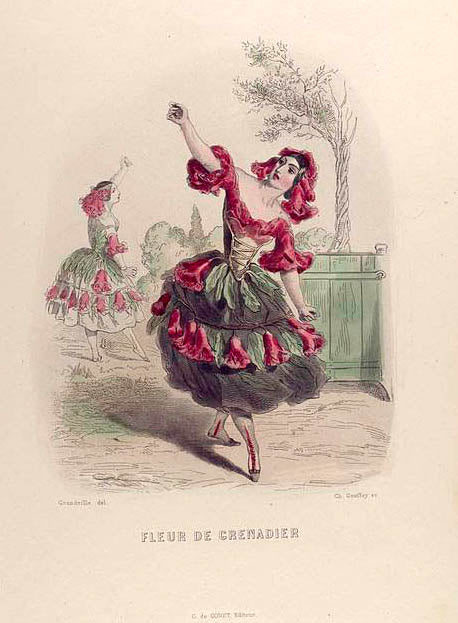 Fleur de Grenadier. [Pomegranate]