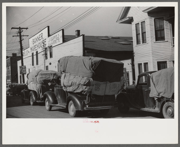 Farmers bringing tobacco to warehouse in trailers, on top of their cars, and even inside their cars for auction. Durham, North Carolina