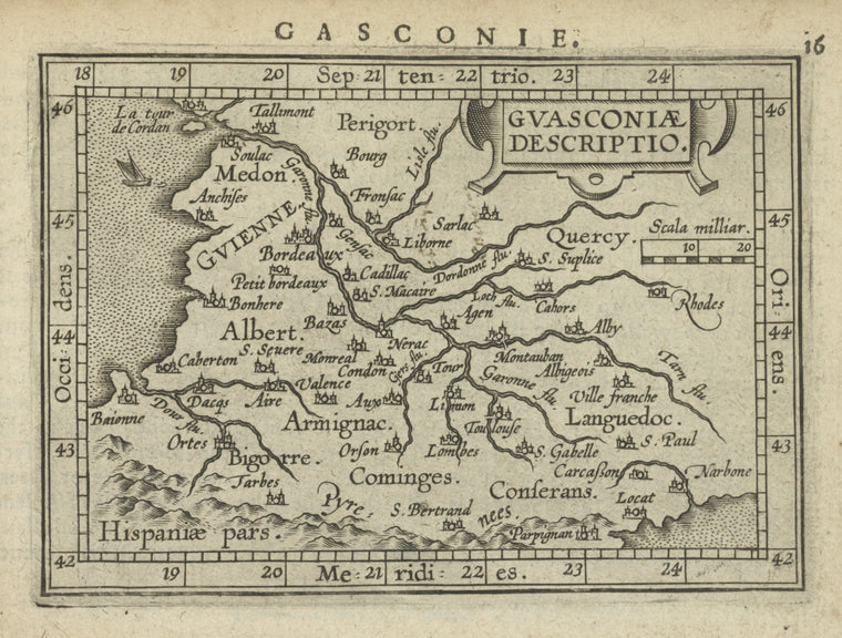 Guasconiæ descriptio.