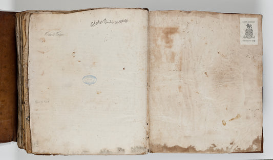 Samaritan Bible